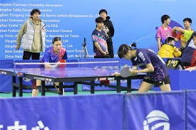 波兰对阵荷兰世预赛中，有球迷向场内投掷烟火迫使比赛被中断